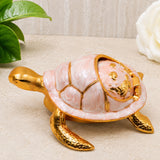 tortoise
