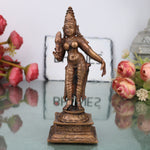 Shridevi Idol