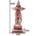 Slide image