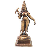 Brass Meenakshi Amman Idol Handcrafted Traditional Chola Style Murti for Pooja Home Decor & Spiritual Gifting, Gold, 5.5 Inch, 1 Piece