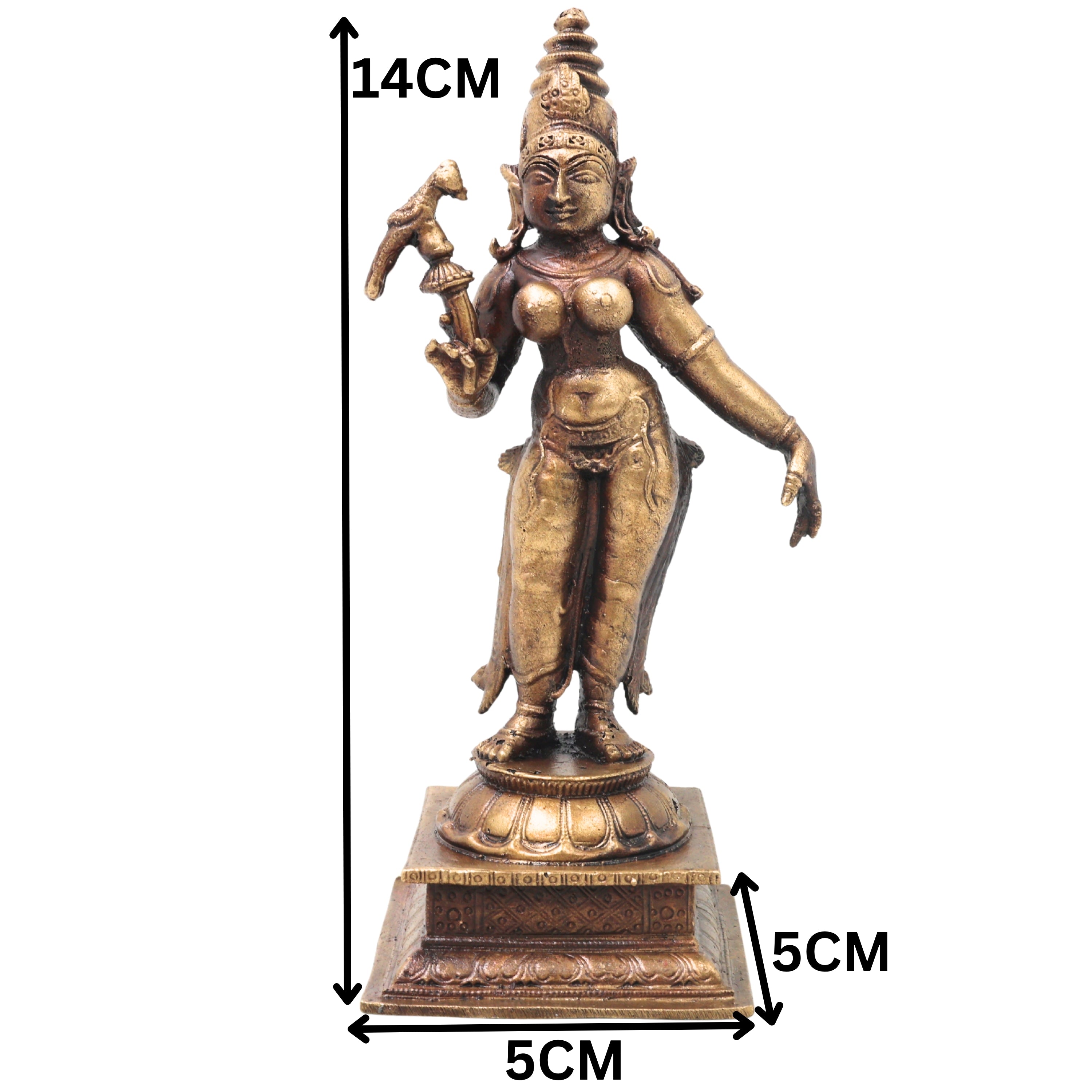 Slide image