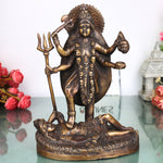 Brass Kali Idol