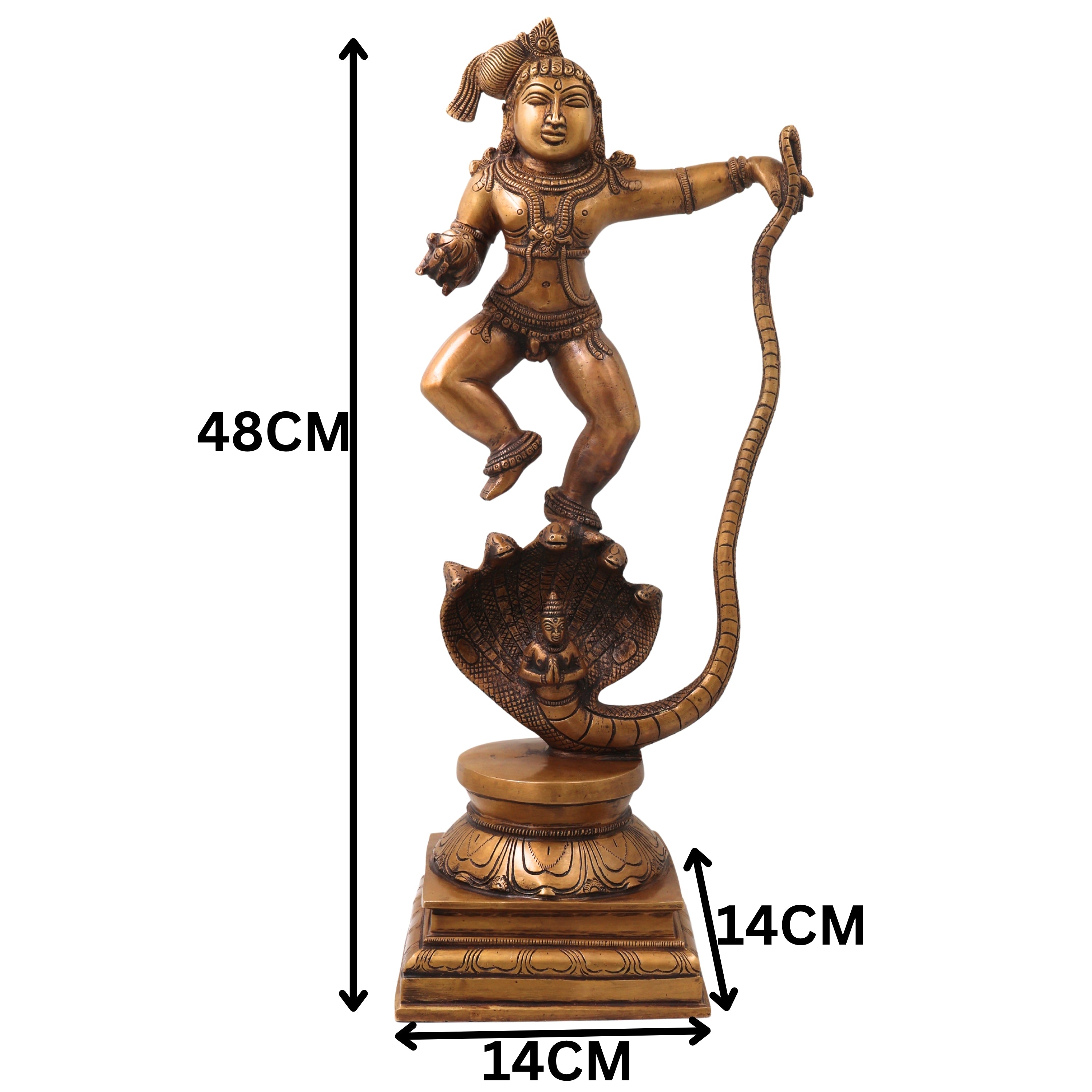 Slide image