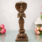  Nagaraja 