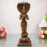  Nagaraja 
