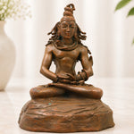 Shiva Idols