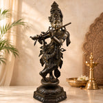  Krishna 