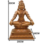 Slide image