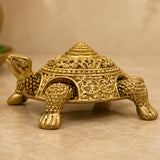  Tortoise 