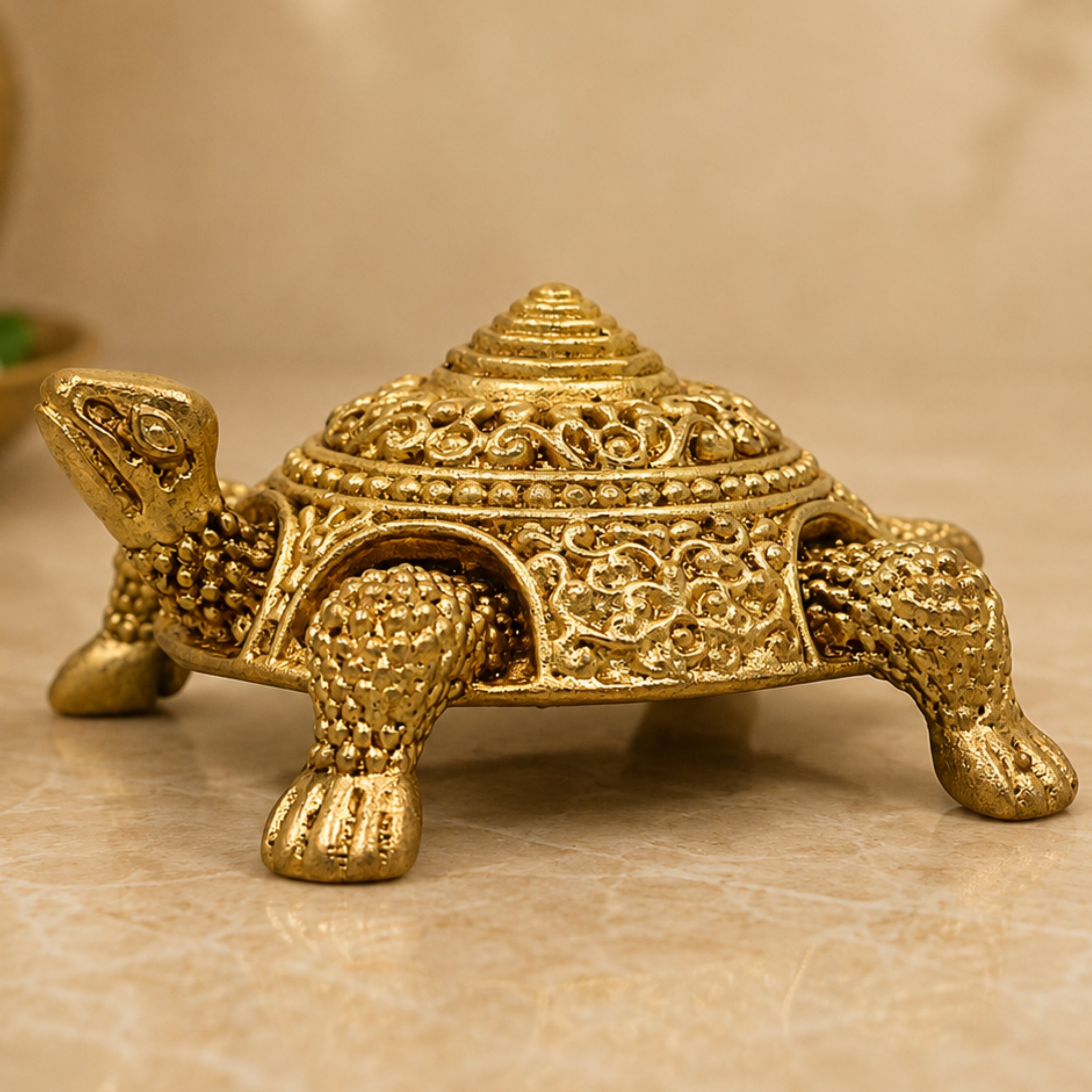  Tortoise 