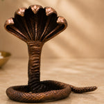 Nag Murti