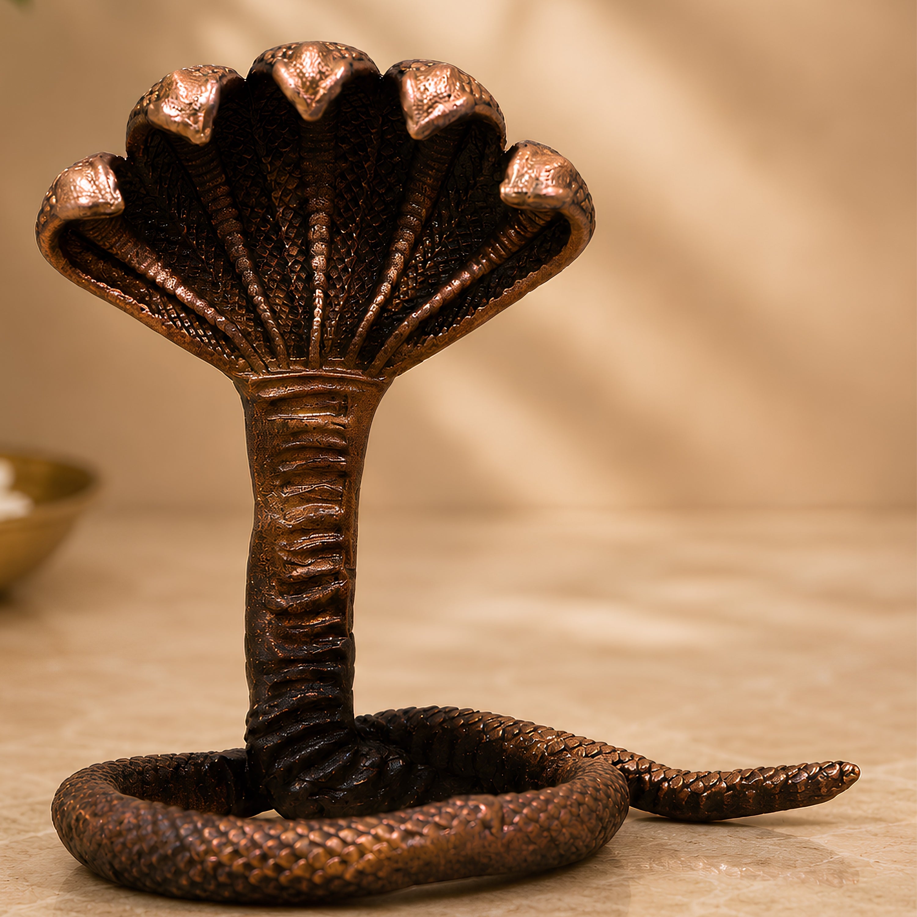 Nag Murti