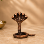 Nag Murti
