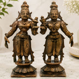  Sri Devi &amp; 1 Bhudevi 