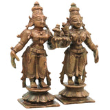 Bronze Sri Devi Bhudevi Murti in Antique Finish for Pooja, Home Temple Decor & Spiritual Gifting, Brown, 3 Inch, 1 Piece