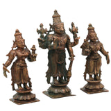 Bronze Sriman Narayana Vishnu Sri Devi Bhu Devi Murti in Antique Finish for Pooja, Home Decor & Gifting, Handcrafted Chola Idol, Brown, 4 Inch, 1 Piece