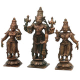 Bronze Sriman Narayana Vishnu Sri Devi Bhu Devi Murti in Antique Finish for Pooja, Home Decor & Gifting, Handcrafted Chola Idol, Brown, 4 Inch, 1 Piece