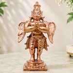  Garuda 