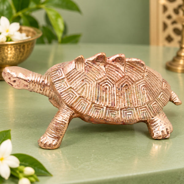Tortoise