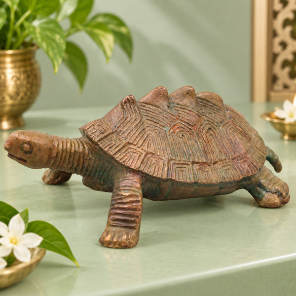 Tortoise