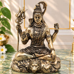 Brass Shiva Idol