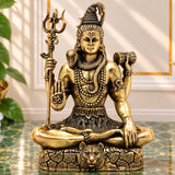  Shiva 