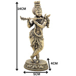 Slide image