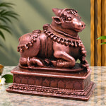  Nandi Idol