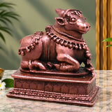  Nandi Idol
