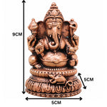 Slide image
