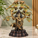  Krishna 