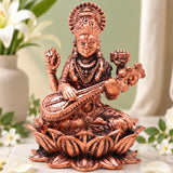  Saraswati 