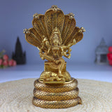 Brass Goddess Mariamman