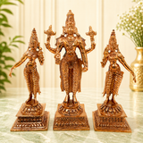 Vishnu with Sridevi Bhudevi Idol