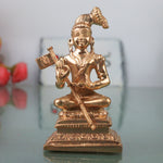 Satakopan Vaishnava