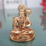 Anjaneya Bajrangbali Maruti 