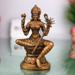 Raj Rajeshwari