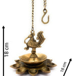 Slide image