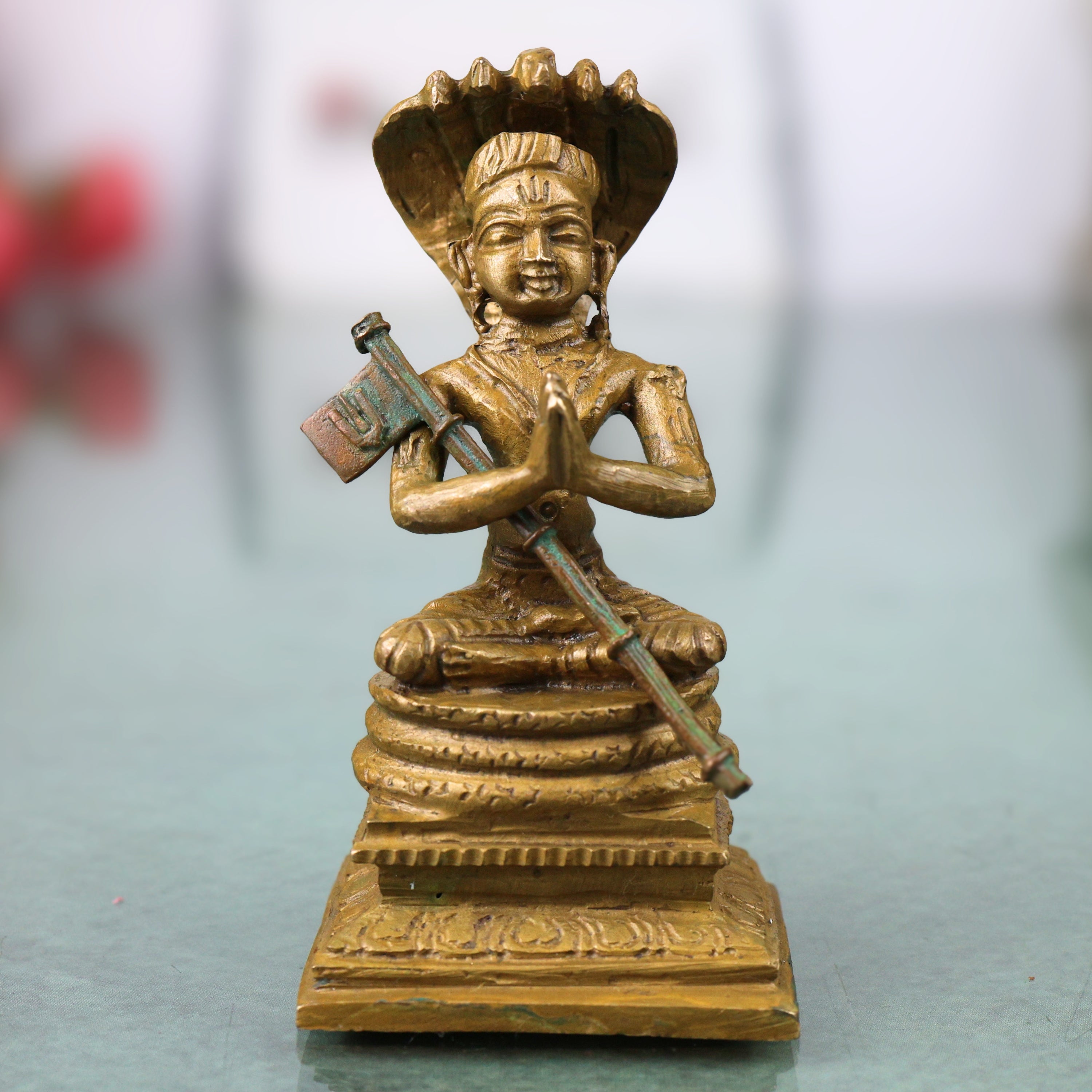 Sri Vaishnava Acharya