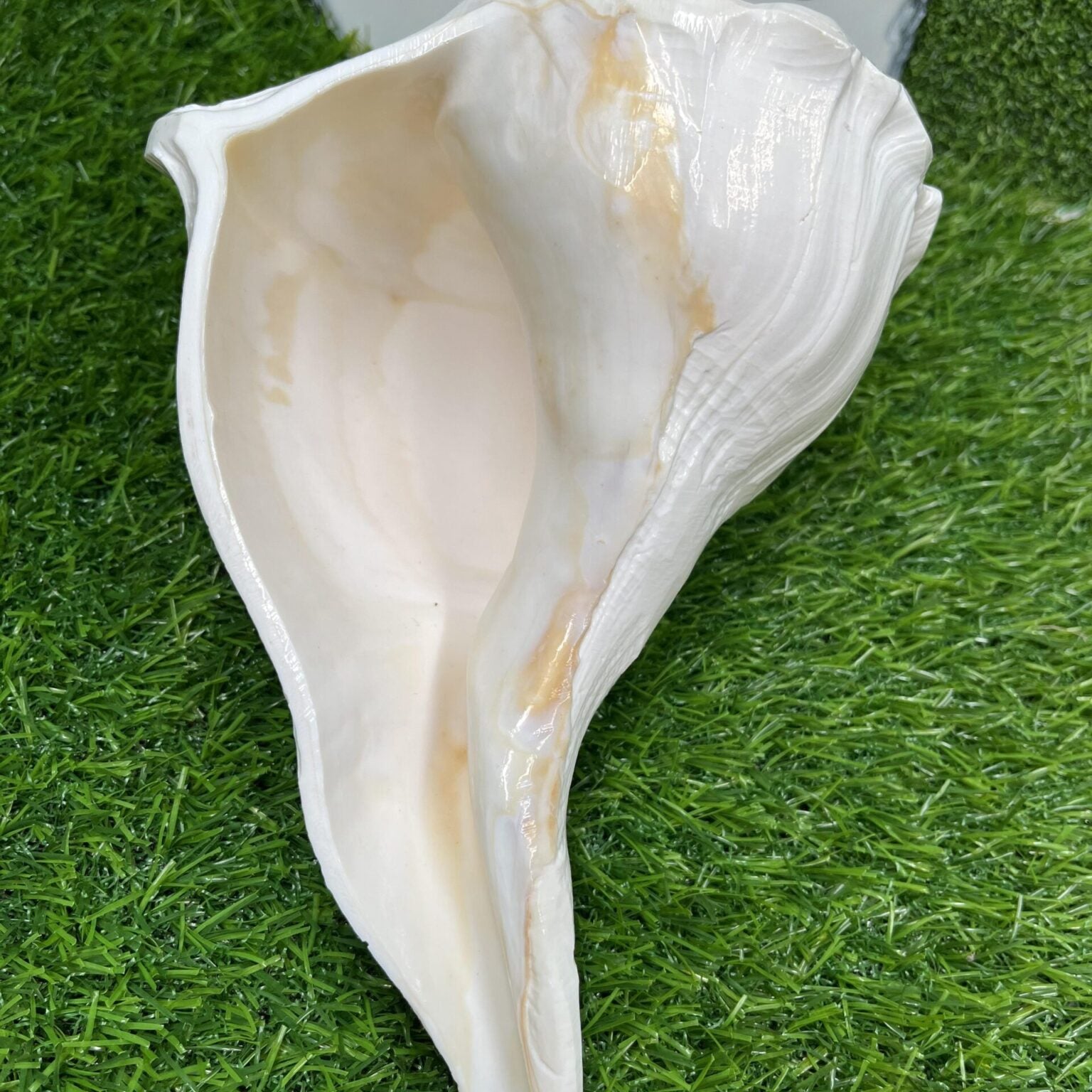 Valampuri Shankh Idol