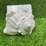 Bhunes Natural Non Blowing Right Hand Pooja Lakshmi Valampuri Shankh, Dakshinavarti Conch,White, 6.5 Inch, 1 Piece