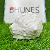 Bhunes Natural Non Blowing Pooja Right Hand Lakshmi Valampuri Shankh, Dakshinavarti Conch,White, 4.5 Inch, 1 Piece