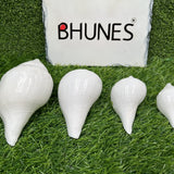 Bhunes Natural Left Hand Shankh, Conch Shell, Set Of 4,White, 5 Inch, 1 Piece