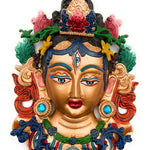 Tara Face Idol