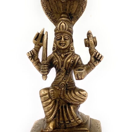 Brass Mariamman Idol