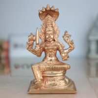 Mariamman Idol
