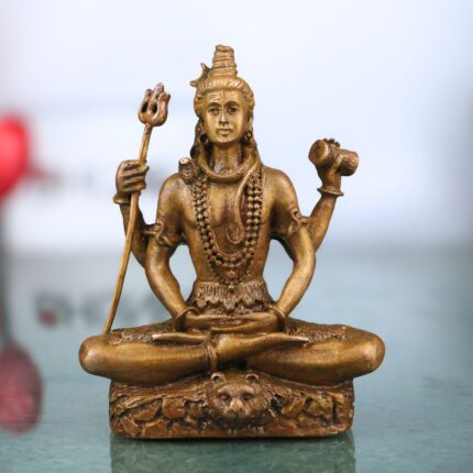 Shiva Idol