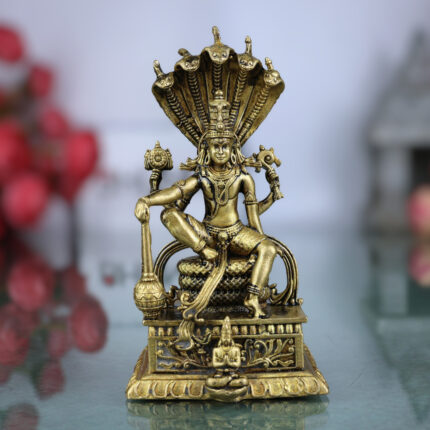 Vishnu on Sheshnag Idol